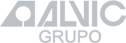 grupoalvic.com